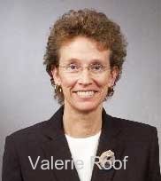 valerie-roofjpg-a23278e77acfd66c